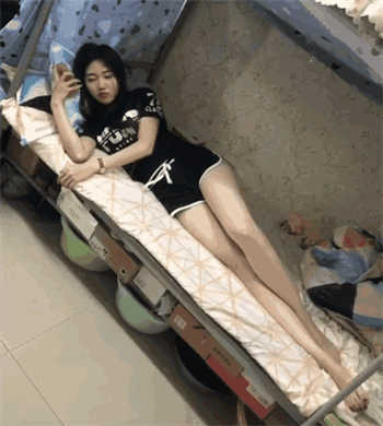 3d动画animo人与马