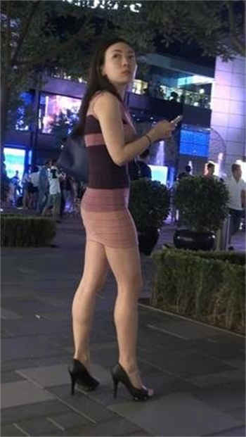狗狗蝴蝶结聊天图片