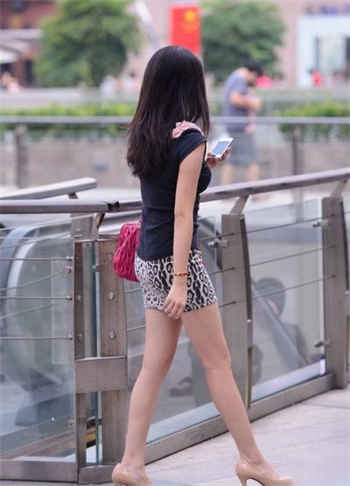 是恶犬微博