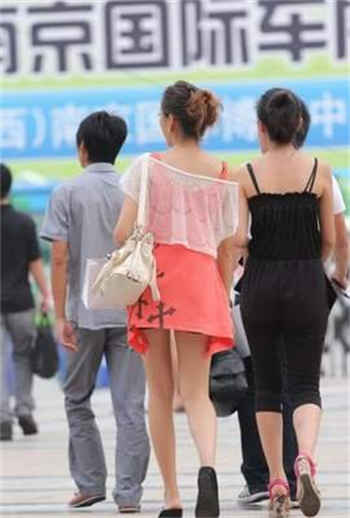 野花视频软件在哪里下载