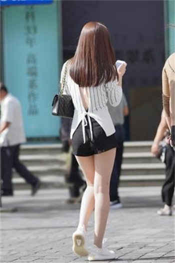 我本风流全文