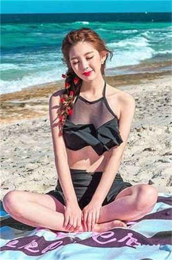 两个达不溜狗狗