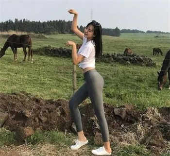 废文网app下载2022